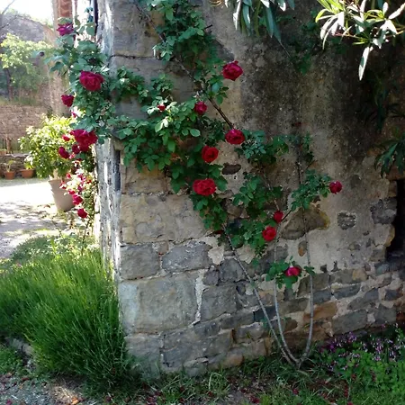 Holiday home De La Clede *