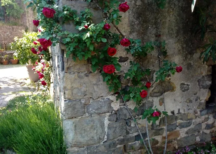 Ferienhaus De La Clede *